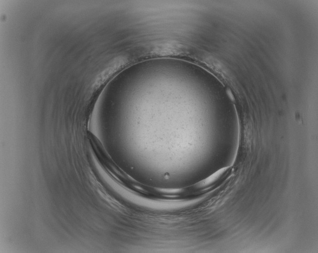 X0000058830393200510031352