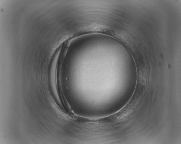 X0000058830394200510031352