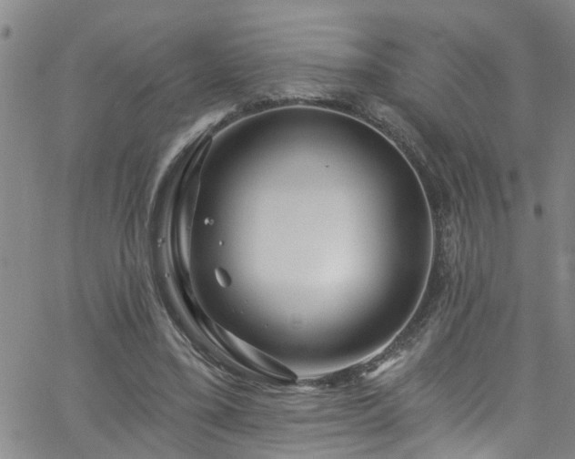 X0000058830395200510031352