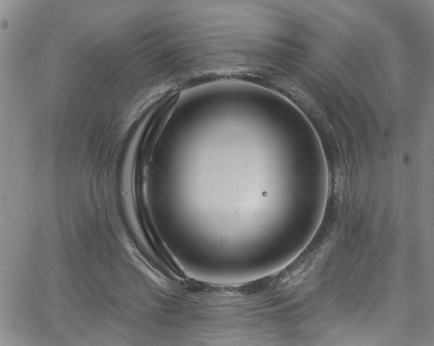 X0000058830397200510031352