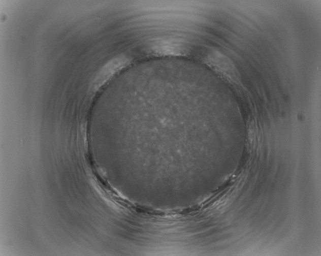 X0000058830398200510031352