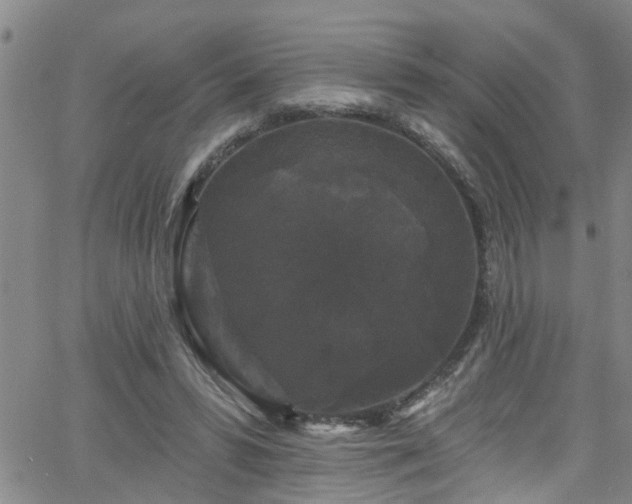 X0000058830399200510031352