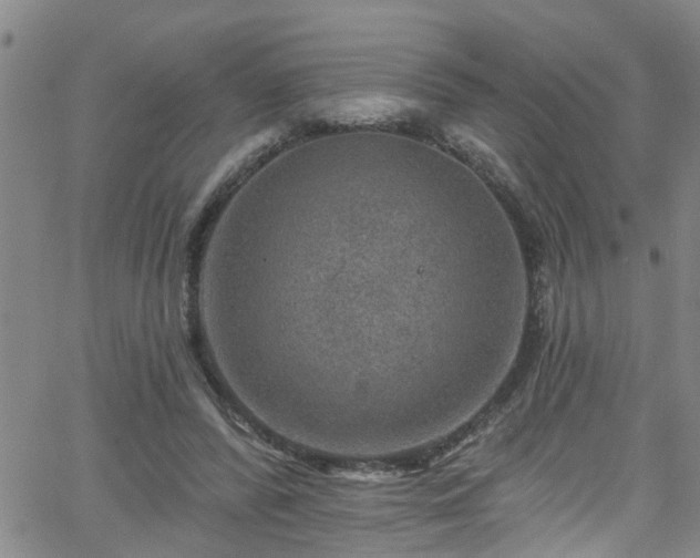 X0000058830400200510031352