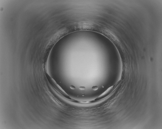 X0000058830401200510031352