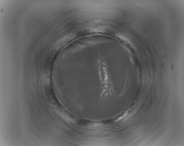 X0000058830402200510031352