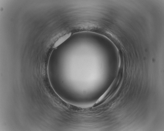 X0000058830403200510031352