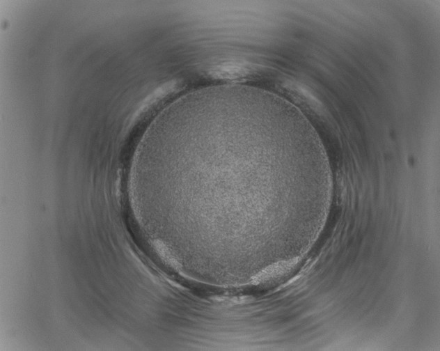 X0000058830404200510031352