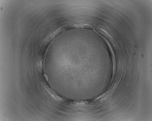 X0000058830405200510031352