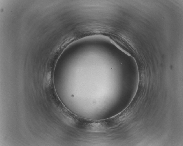 X0000058830406200510031352