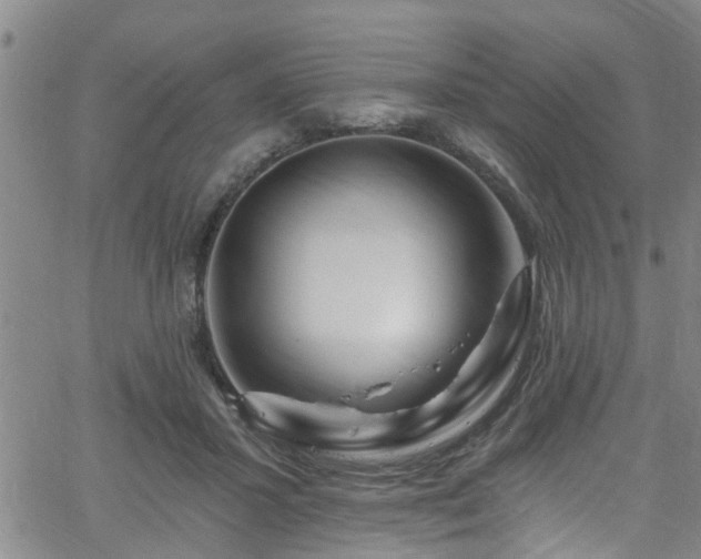 X0000058830407200510031352