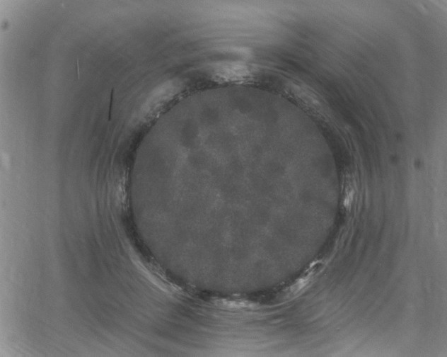 X0000058830408200510031352