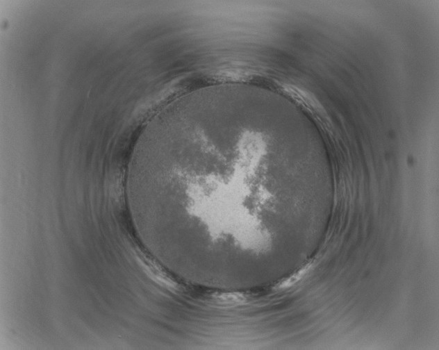 X0000058830409200510031352