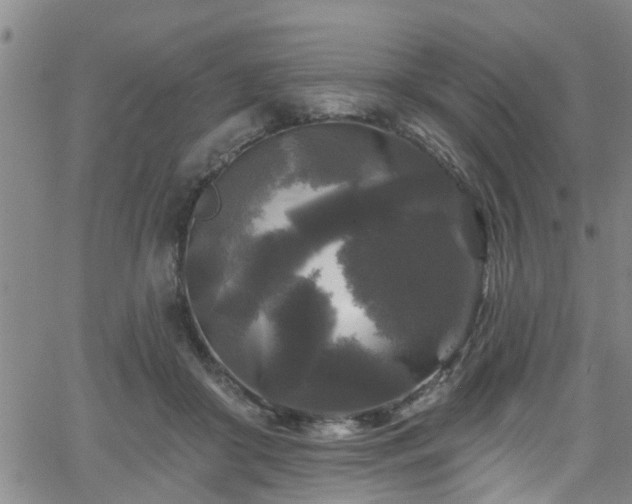 X0000058830410200510031352