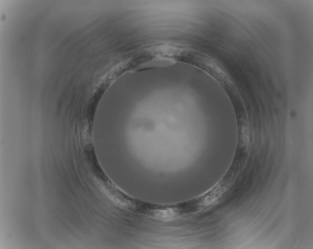 X0000058830411200510031352