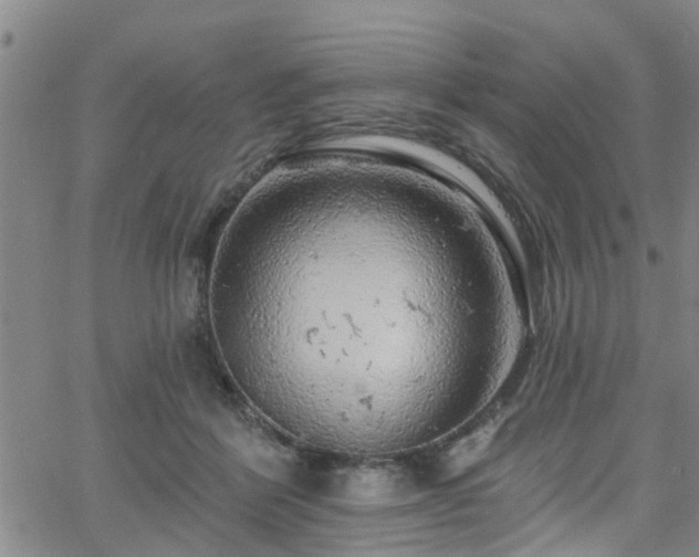 X0000058830412200510031352