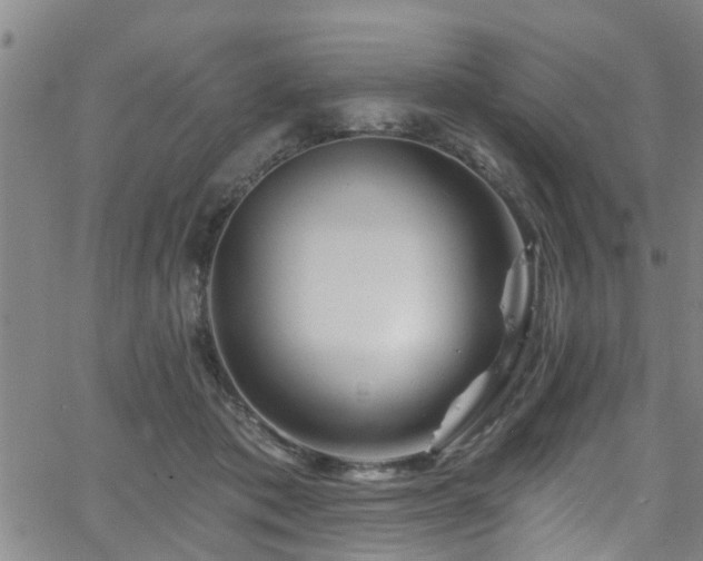 X0000058830413200510031352