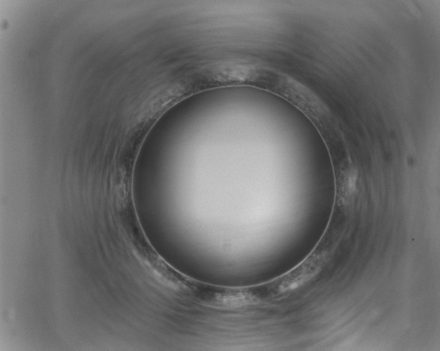 X0000058830414200510031352