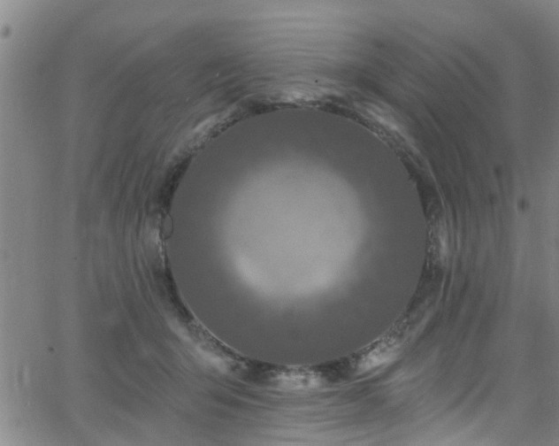 X0000058830415200510031352