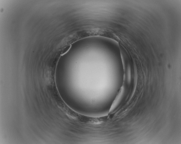 X0000058830416200510031352