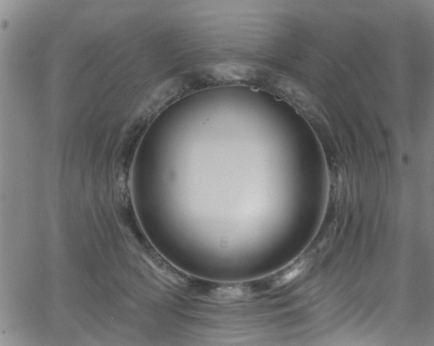 X0000058830418200510031352