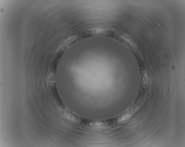 X0000058830419200510031352