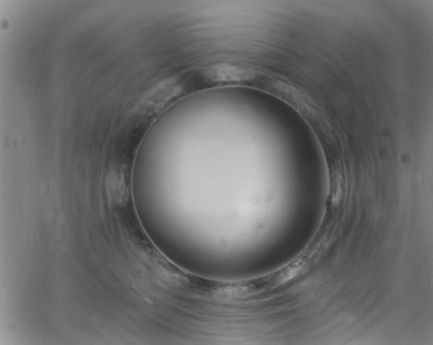 X0000058830422200510031352