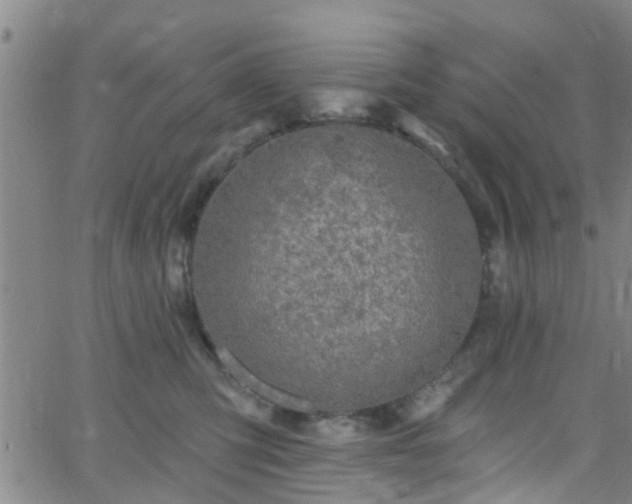 X0000058830423200510031352