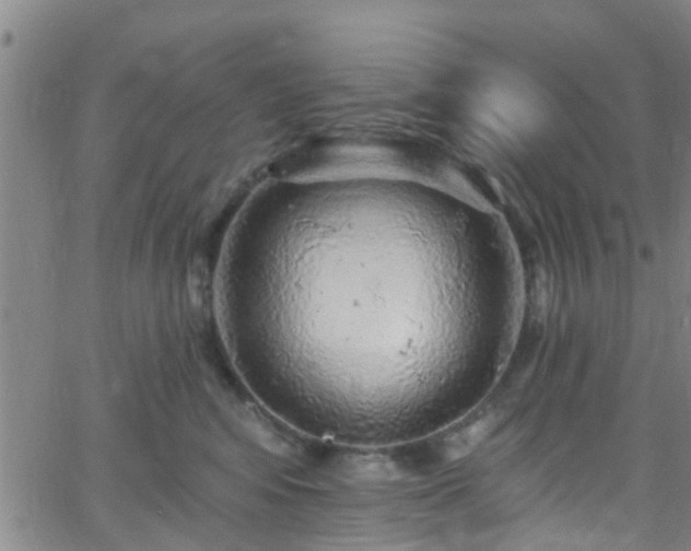 X0000058830424200510031351