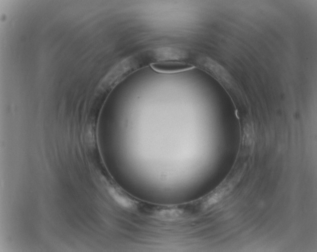 X0000058830426200510031351