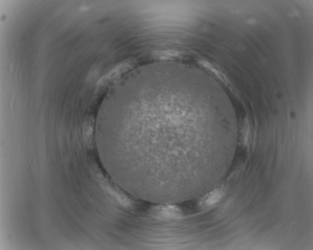 X0000058830427200510031351