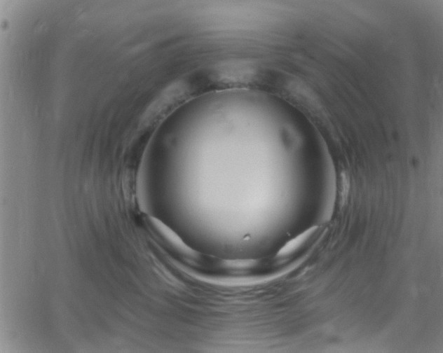 X0000058830428200510031351