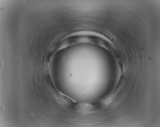 X0000058830429200510031351