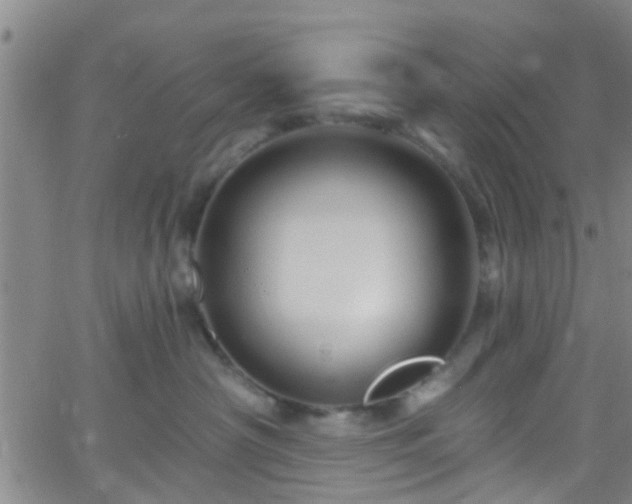 X0000058830430200510031351