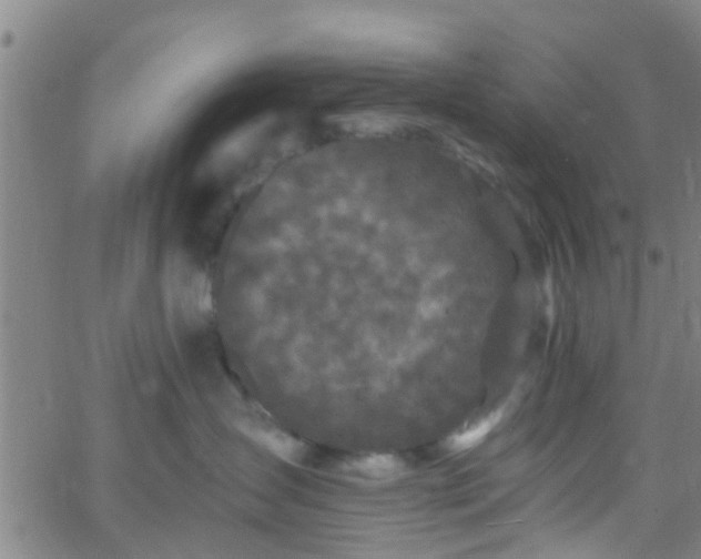 X0000058830431200510031351