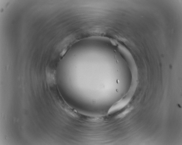 X0000058830432200510031351