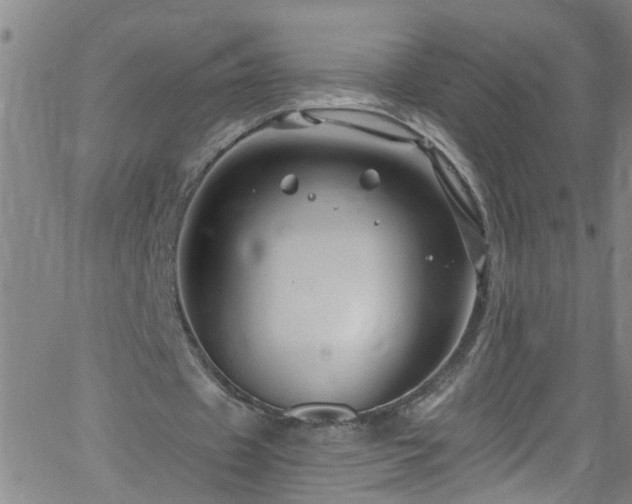 X0000058830433200510031351