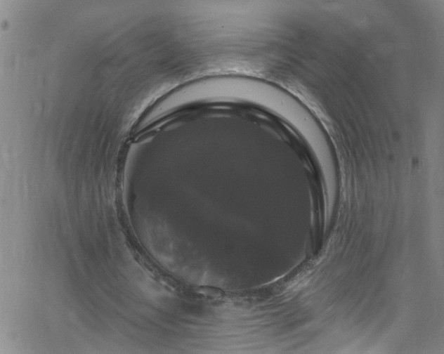 X0000058830434200510031351