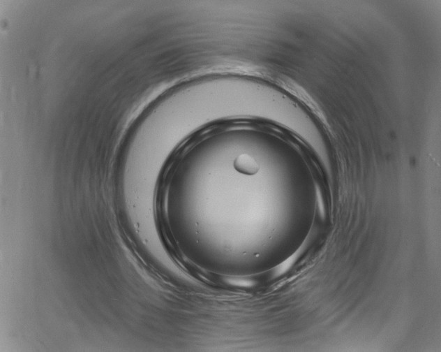 X0000058830436200510031351