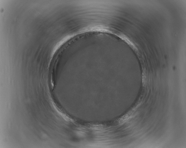 X0000058830438200510031351