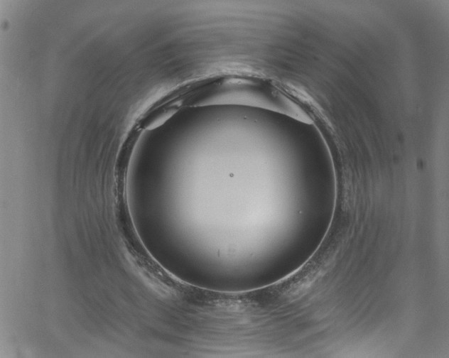 X0000058830439200510031351