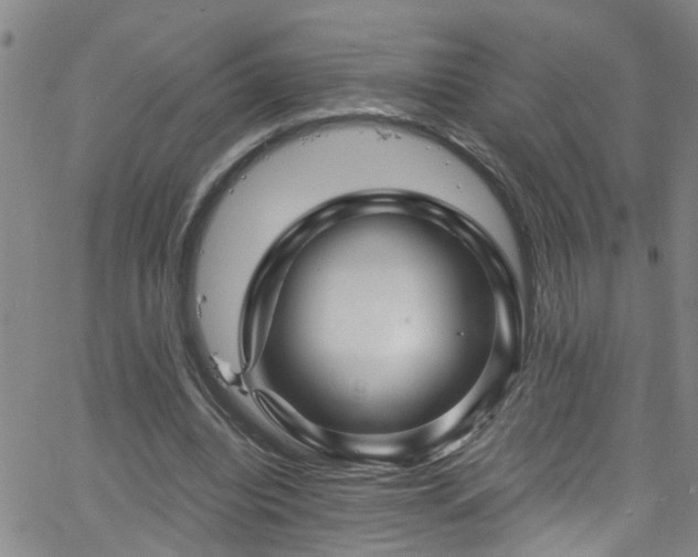 X0000058830440200510031351