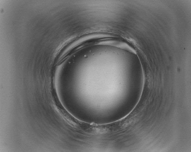 X0000058830442200510031351