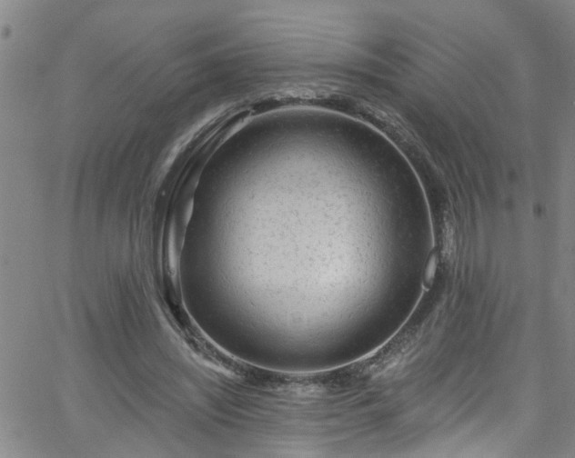 X0000058830444200510031351