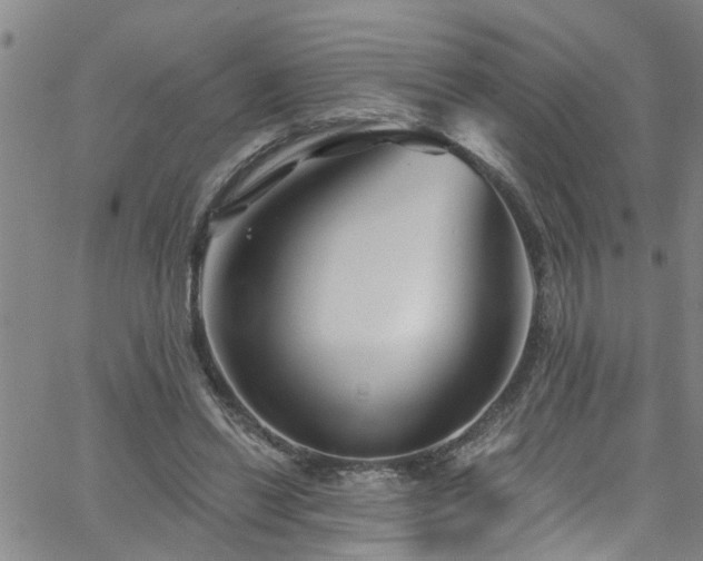 X0000058830446200510031351