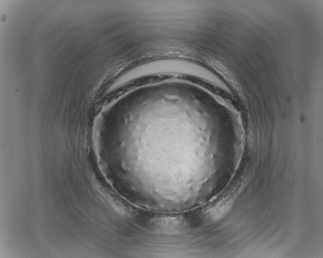 X0000058830449200510031351