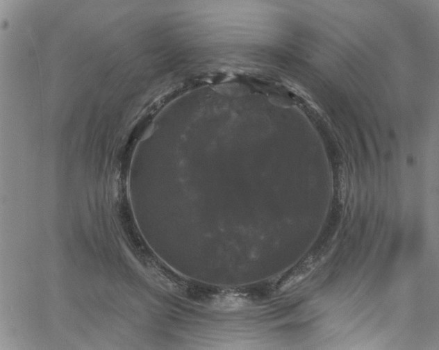 X0000058830451200510031351