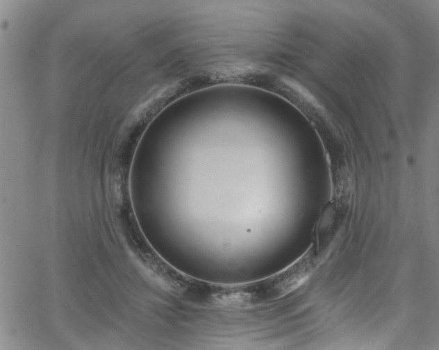 X0000058830452200510031351