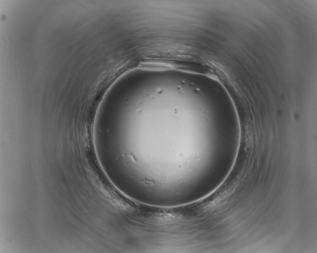 X0000058830453200510031351