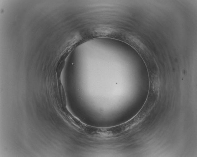 X0000058830455200510031351