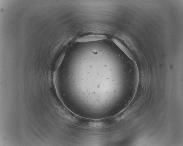 X0000058830457200510031351